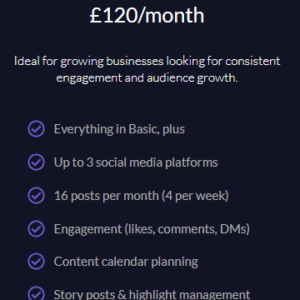 🚀 Standard Package – £120/month